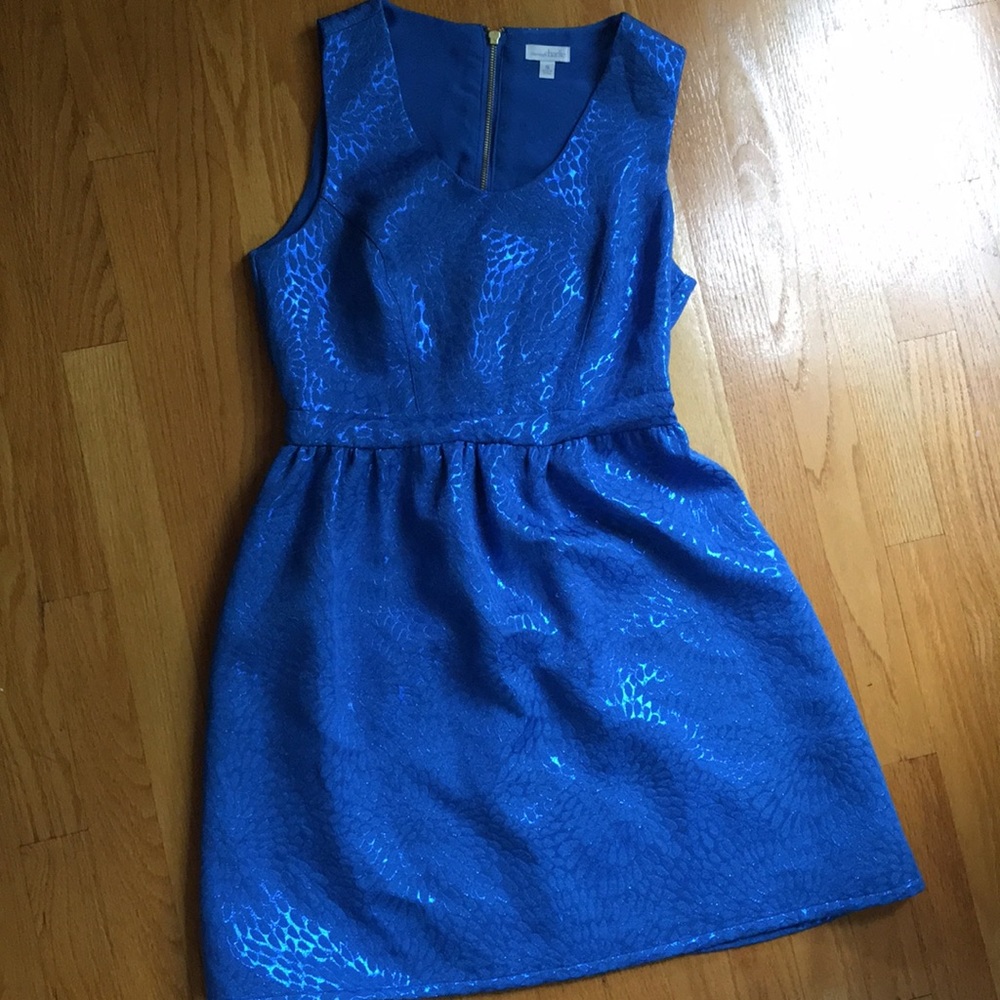 Blue Charming Charlie Dress.